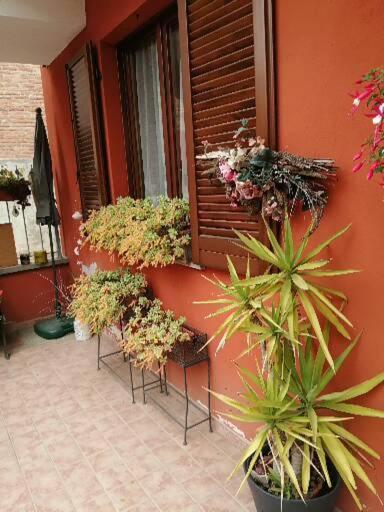 Casa Carolina Bed & Breakfast Castellinaldo Exterior photo